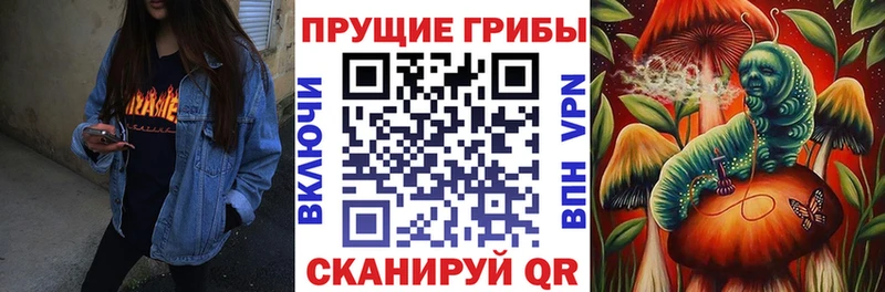 дарнет шоп  Ликино-Дулёво  Псилоцибиновые грибы ЛСД 